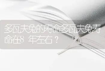 多瓦夫兔的寿命多瓦夫兔寿命在8年左右？