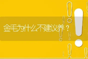 金毛为什么不建议养？