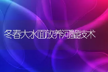 冬春大水面放养河蟹技术