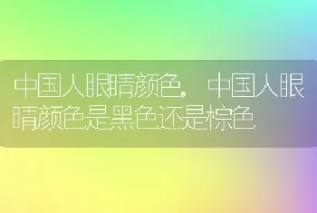 中国人眼睛颜色，中国人眼睛颜色是黑色还是棕色