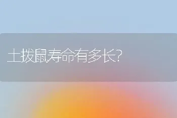 土拨鼠寿命有多长？