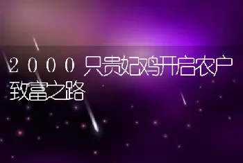 2000只贵妃鸡开启农户致富之路