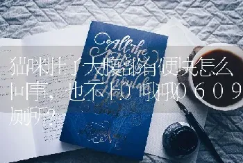 一个月大的拉布拉多，体重应该是多少？