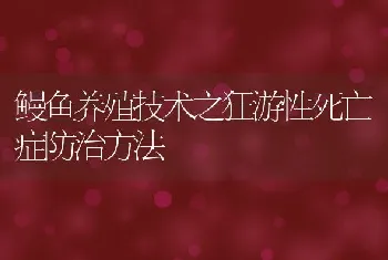 鳗鱼养殖技术之狂游性死亡症防治方法