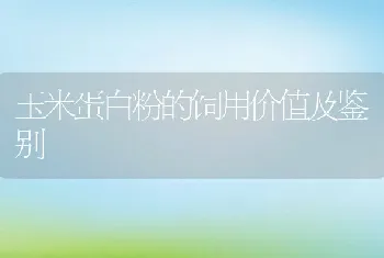 玉米蛋白粉的饲用价值及鉴别