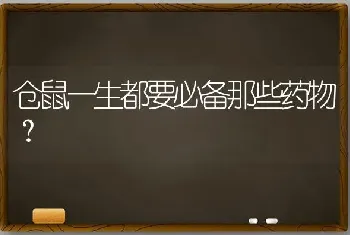 仓鼠一生都要必备那些药物？