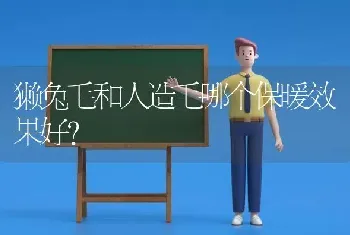 獭兔毛和人造毛哪个保暖效果好？