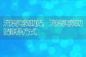 流浪狗救助站，流浪狗救助站联系方式