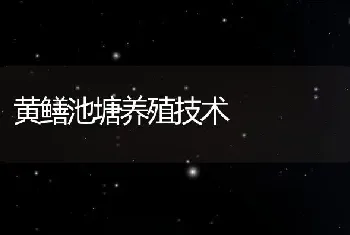 黄鳝池塘养殖技术