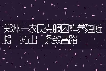 郑州一农民克服困难养殖蚯蚓 拓出一条致富路