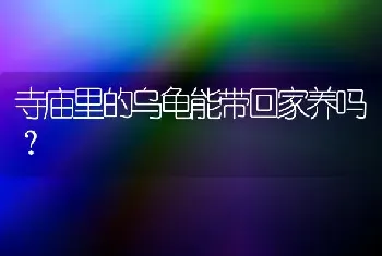 小猫掉毛是怎么回事？