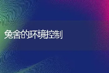 兔舍的环境控制