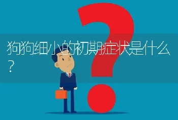 狗狗细小的初期症状是什么？