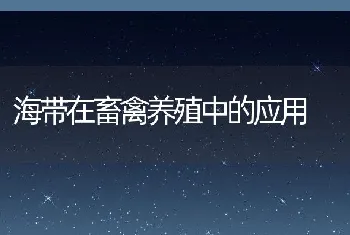 10月11月正是甲鱼并塘时