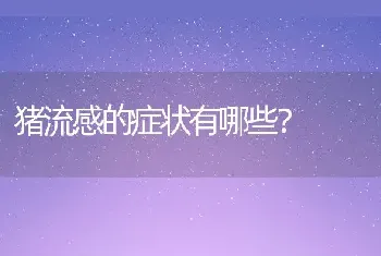 猪流感的症状有哪些？