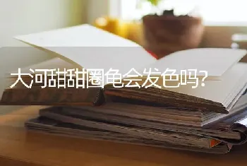 为什么一碰兔宝宝的他就吱吱叫？