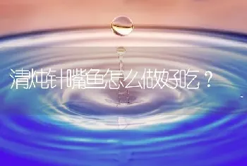 清炖针嘴鱼怎么做好吃？