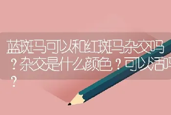 蓝斑马可以和红斑马杂交吗？杂交是什么颜色？可以活吗？