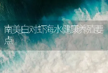 南美白对虾海水健康养殖要点