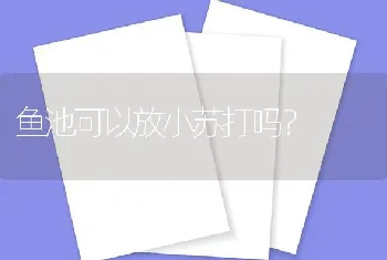 鱼池可以放小苏打吗？