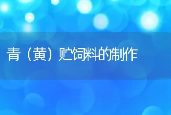 青（黄）贮饲料的制作