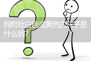 狗狗吐白色或黄色的沫子是什么病？