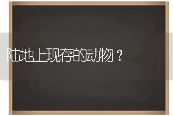 陆地上现存的动物？