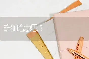 雄狮啥意思？