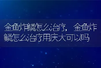 金鱼炸鳞怎么治疗，金鱼炸鳞怎么治疗用庆大可以吗