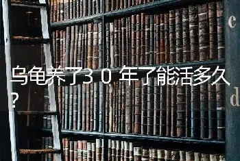 乌龟养了30年了能活多久？