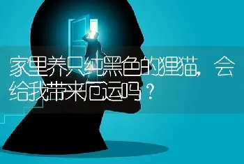 家里养只纯黑色的狸猫，会给我带来厄运吗？