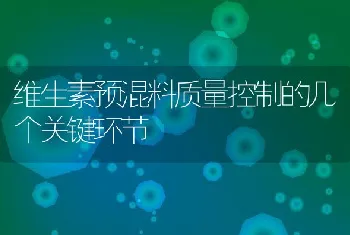 维生素预混料质量控制的几个关键环节