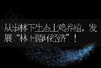 从事林下生态土鸡养殖，发展“林下循环经济”！