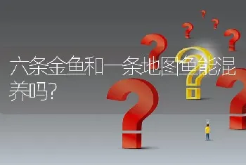 六条金鱼和一条地图鱼能混养吗？