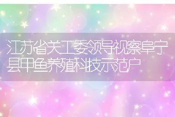 江苏省关工委领导视察阜宁县甲鱼养殖科技示范户