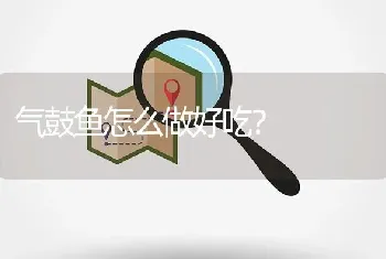 气鼓鱼怎么做好吃？