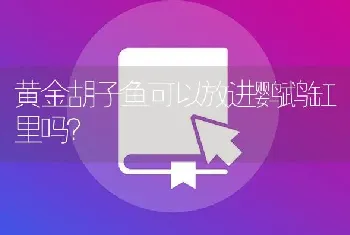 黄金胡子鱼可以放进鹦鹉缸里吗？