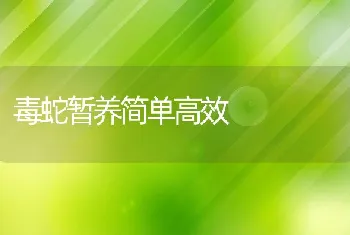 毒蛇暂养简单高效