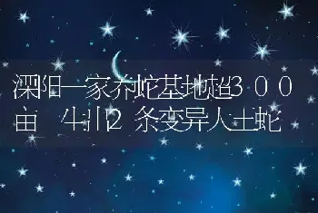 溧阳一家养蛇基地超300亩 生出2条变异大王蛇