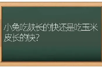 小兔吃麸长的快还是吃玉米皮长的快？