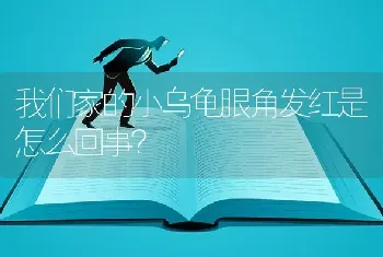 我们家的小乌龟眼角发红是怎么回事？