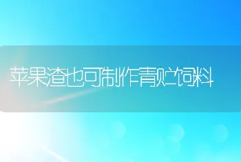 苹果渣也可制作青贮饲料