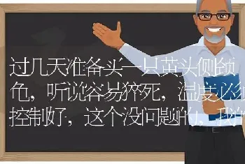 过几天准备买一只黄头侧颈龟，听说容易猝死，温度必须控制好，这个没问题的，我的鱼缸办得到，问题是如果？