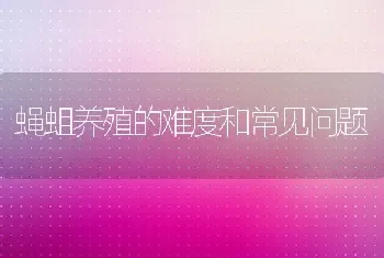 蝇蛆养殖的难度和常见问题