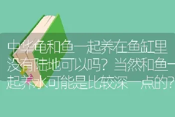 中华龟和鱼一起养在鱼缸里没有陆地可以吗？当然和鱼一起养水可能是比较深一点的？