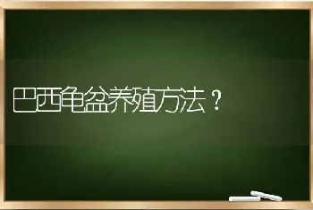 巴西龟盆养殖方法？