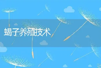 蝎子养殖技术