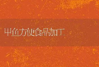 特种饲料玉米介绍高油玉米