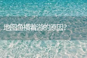 狮头鱼可以和什么鱼混？