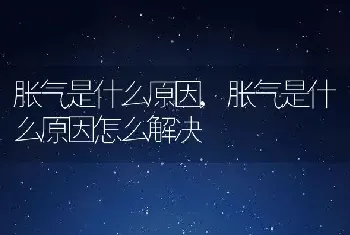 胀气是什么原因，胀气是什么原因怎么解决